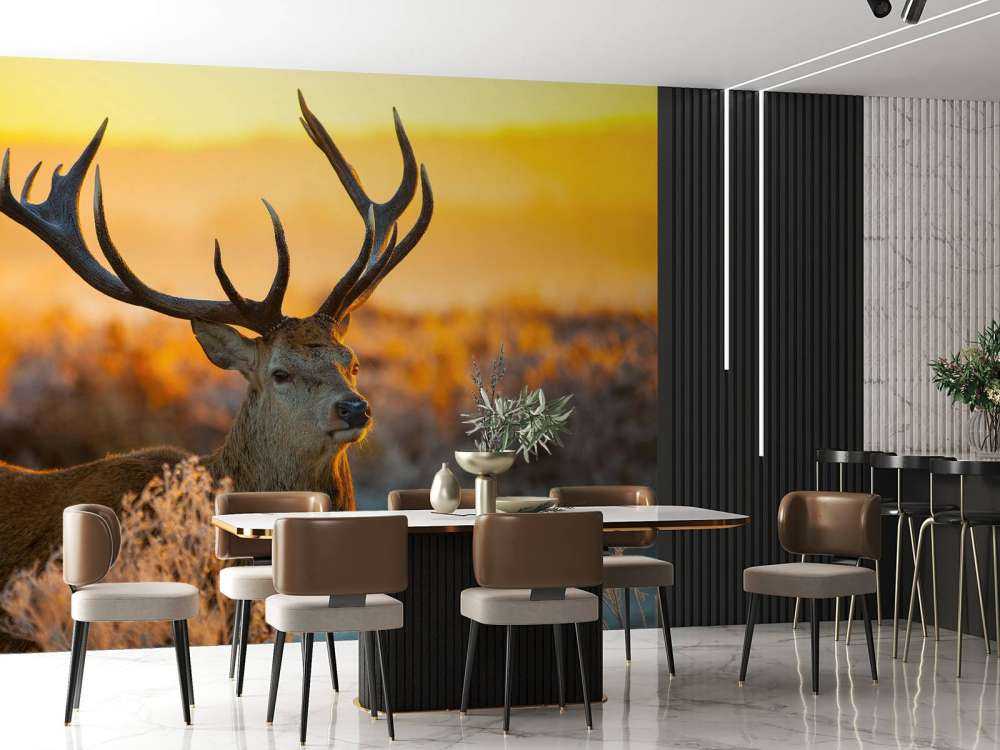 Hert in natuurgebied