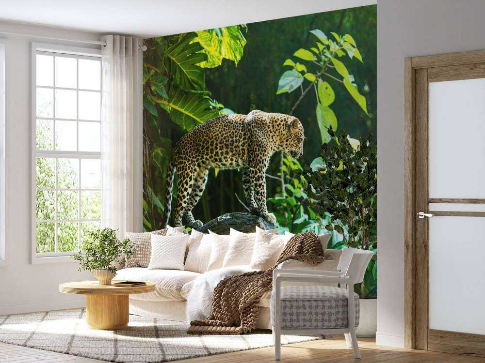 Luipaard op een rotswand