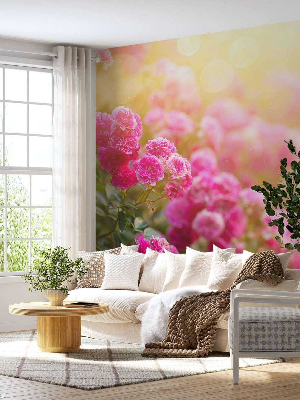 Roze rozenstruiken
