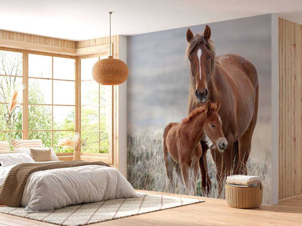 Wilde paarden