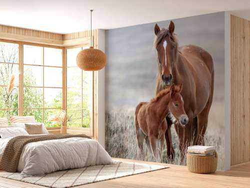 Wilde paarden