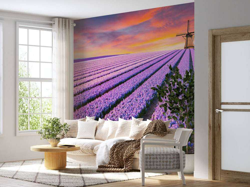 Blauwe druifjes