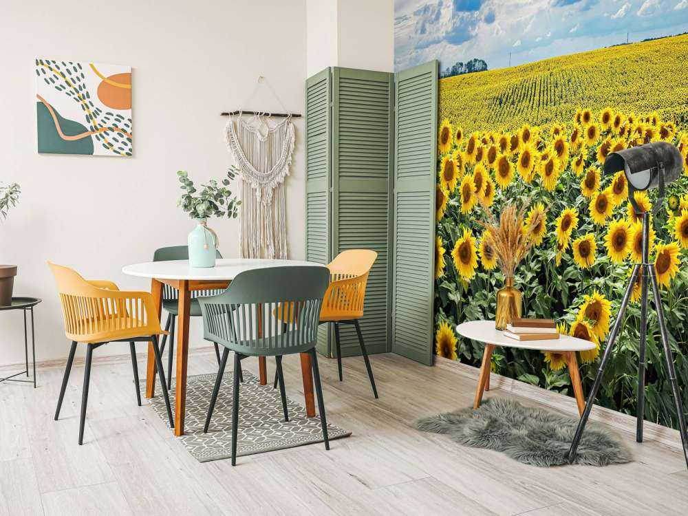 Weiland vol zonnebloemen