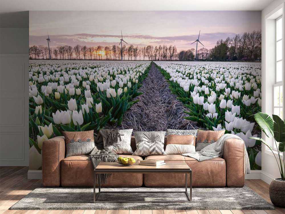 Wit tulpenveld