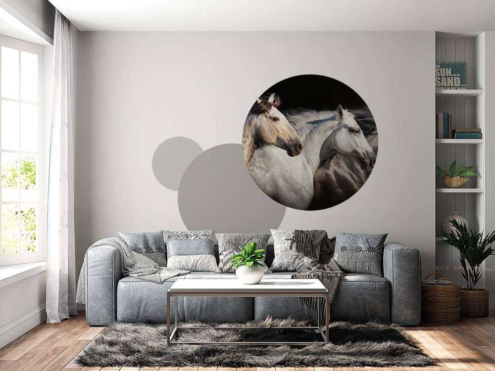 Drie paarden met een zwarte achtergrond