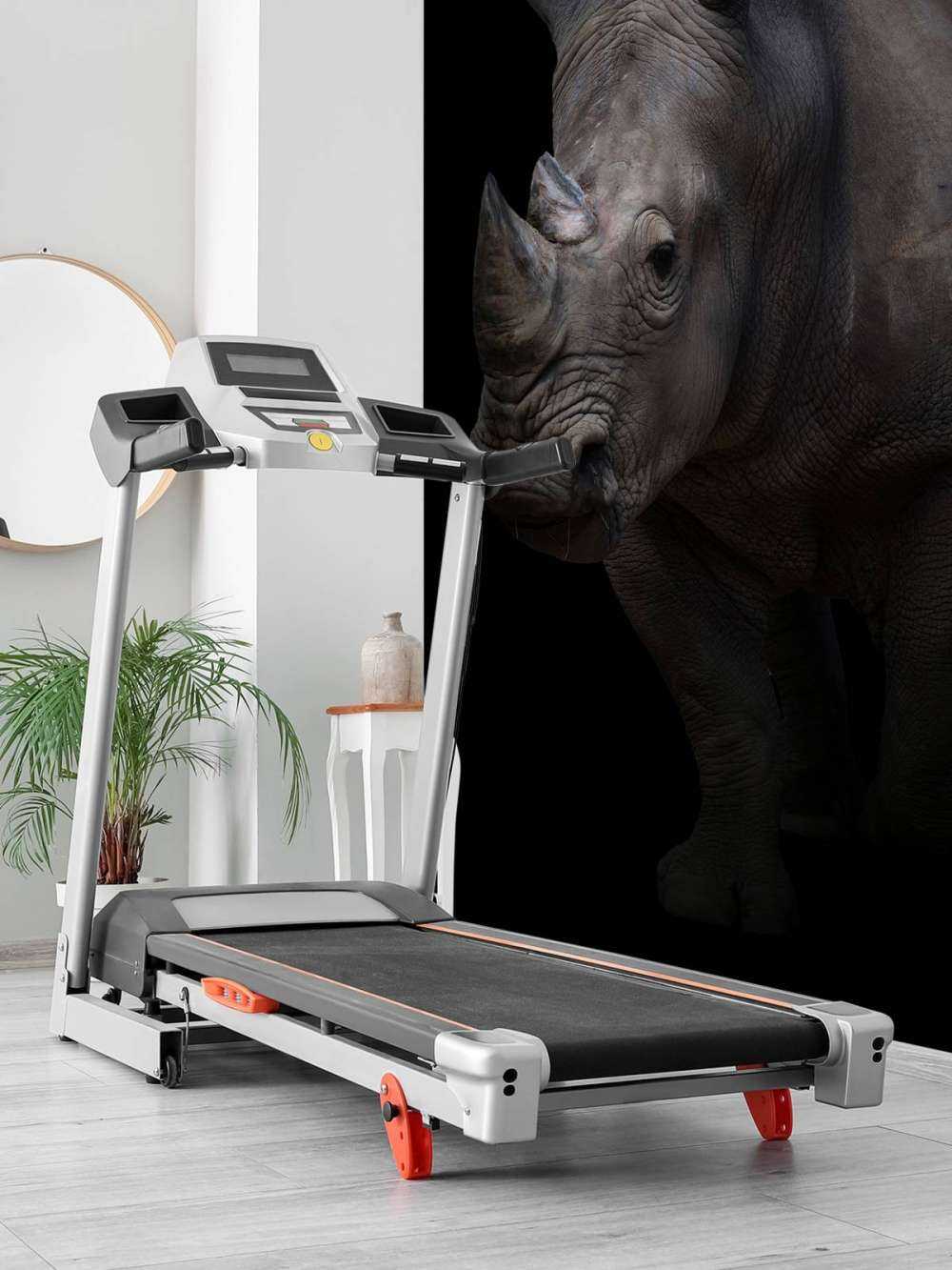 Neushoorn met een zwarte achtergrond