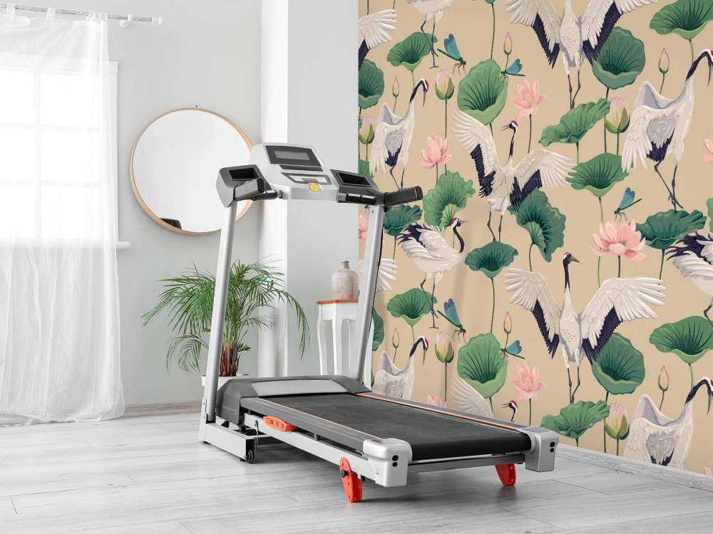 Witte kraanvogels, beige