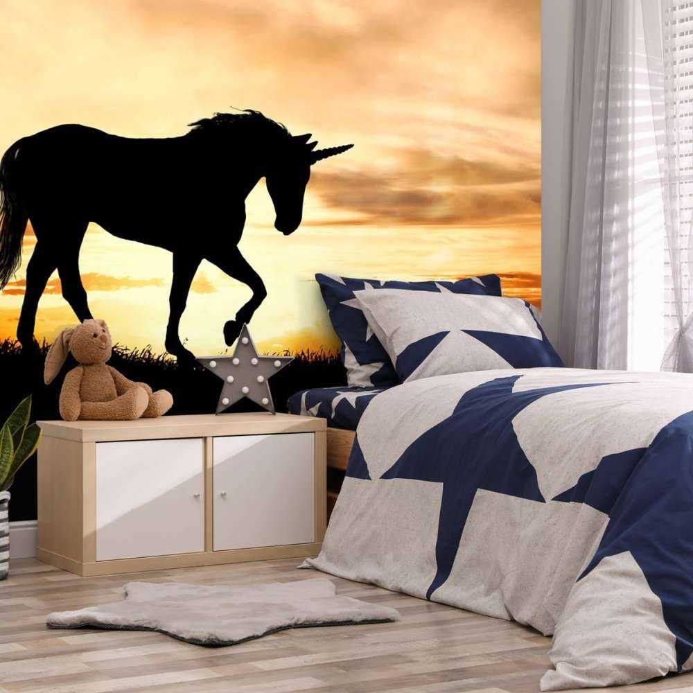 Unicorn silhouette bij zonsondergang