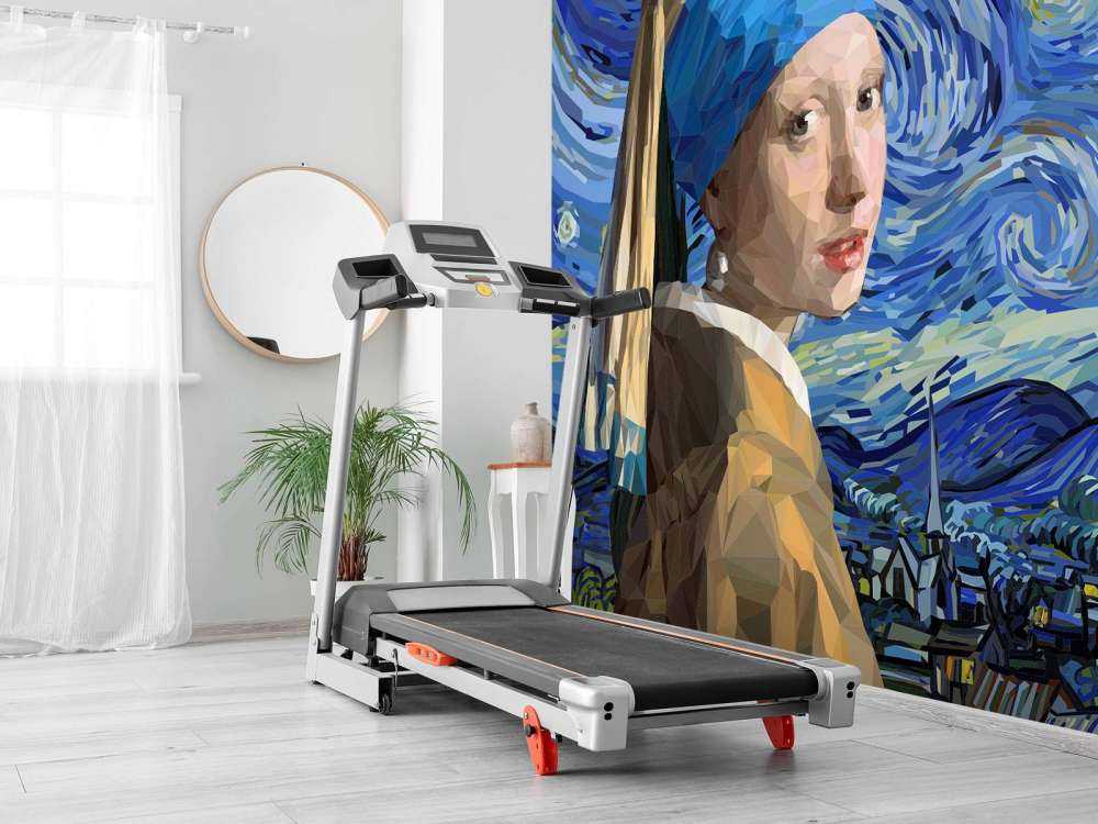 Vermeer schilderij