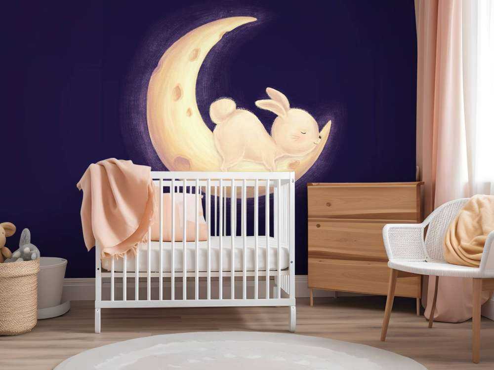 Konijntje op de maan