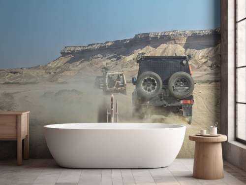 Jeep tour door de woestijn