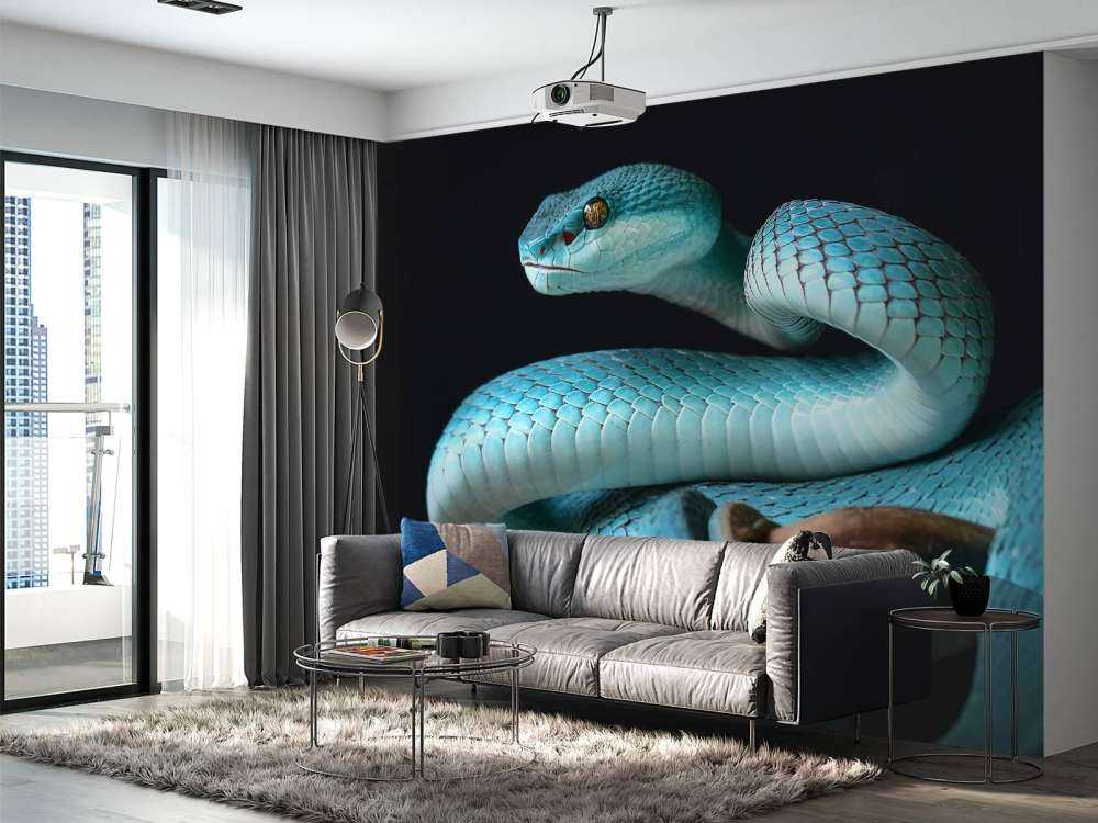 Blauwe Insularis slang