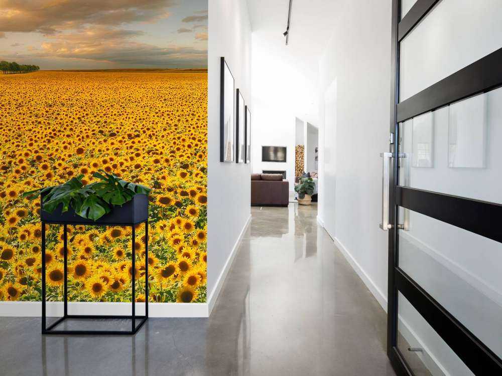 Sunflowers