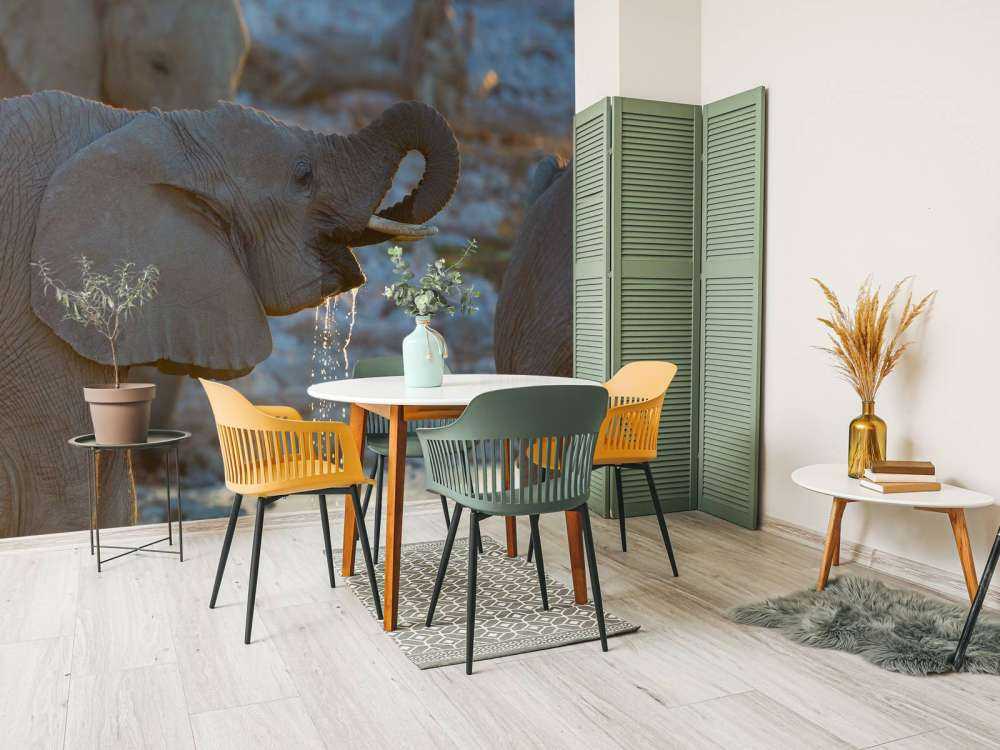 Olifanten drinken water