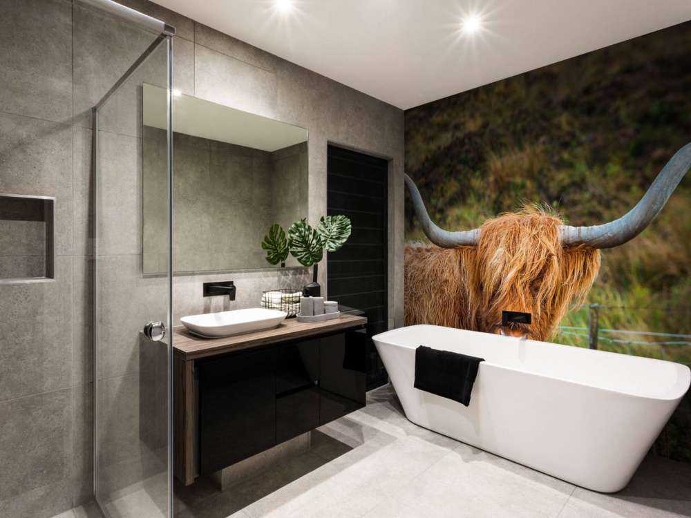 Schotse Hooglander in het veld