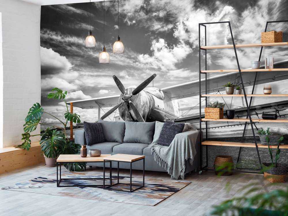 Vintage vliegtuig onder een bewolkte hemel