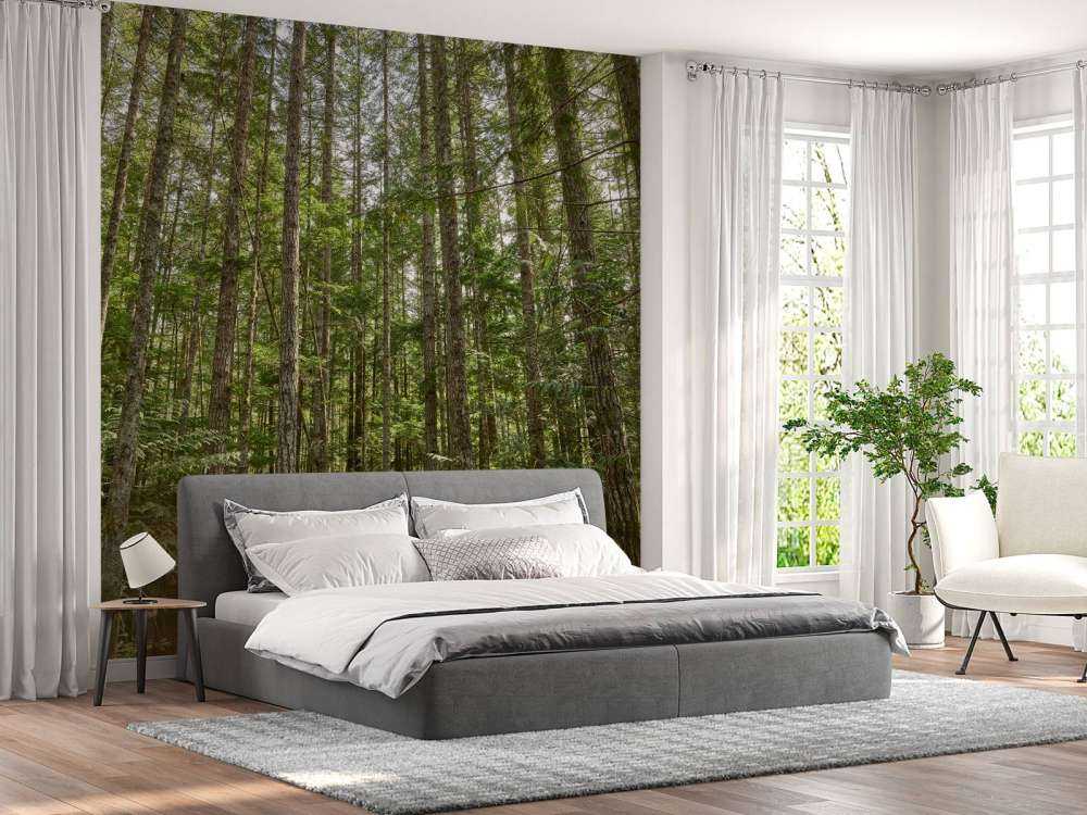 Dunne bomen in het bos