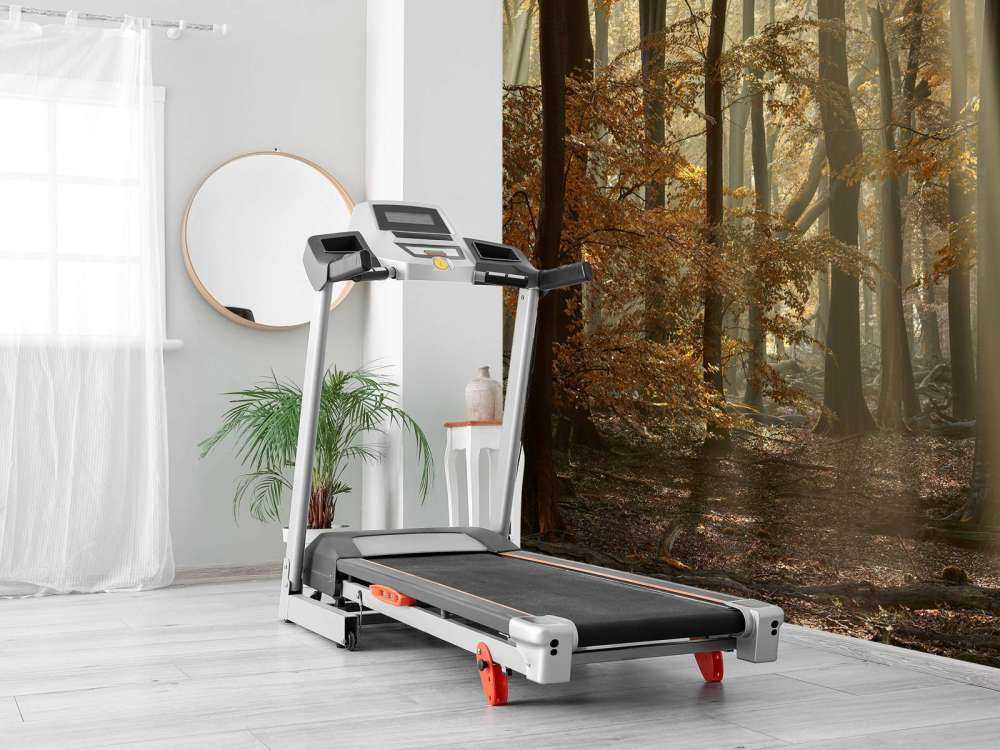 Herfstkleuren in het bos