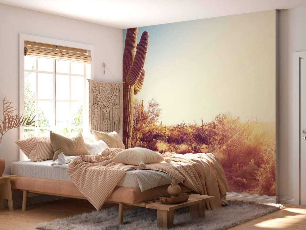 Cactus in de woestijn