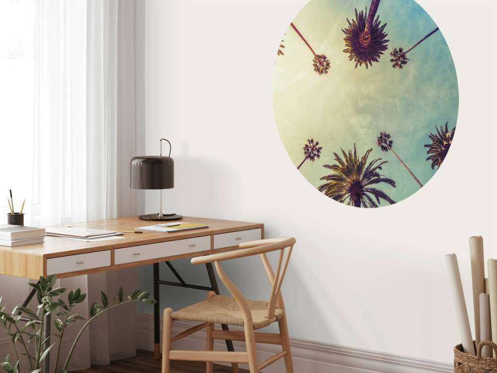 Onderaanzicht van palmbomen