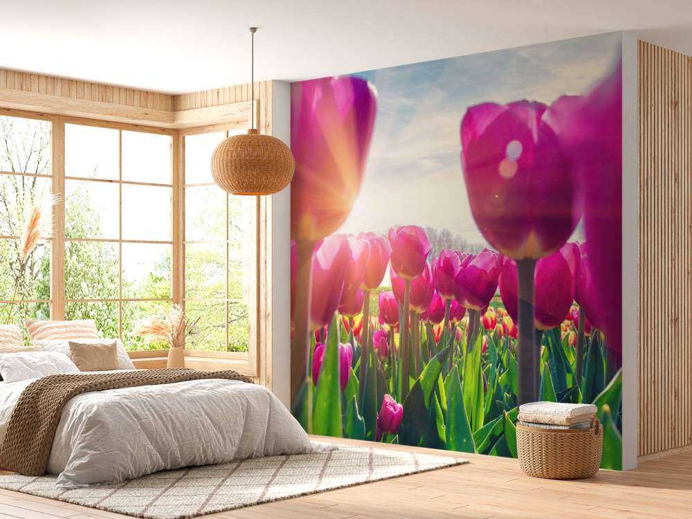 Tulpenveld roze