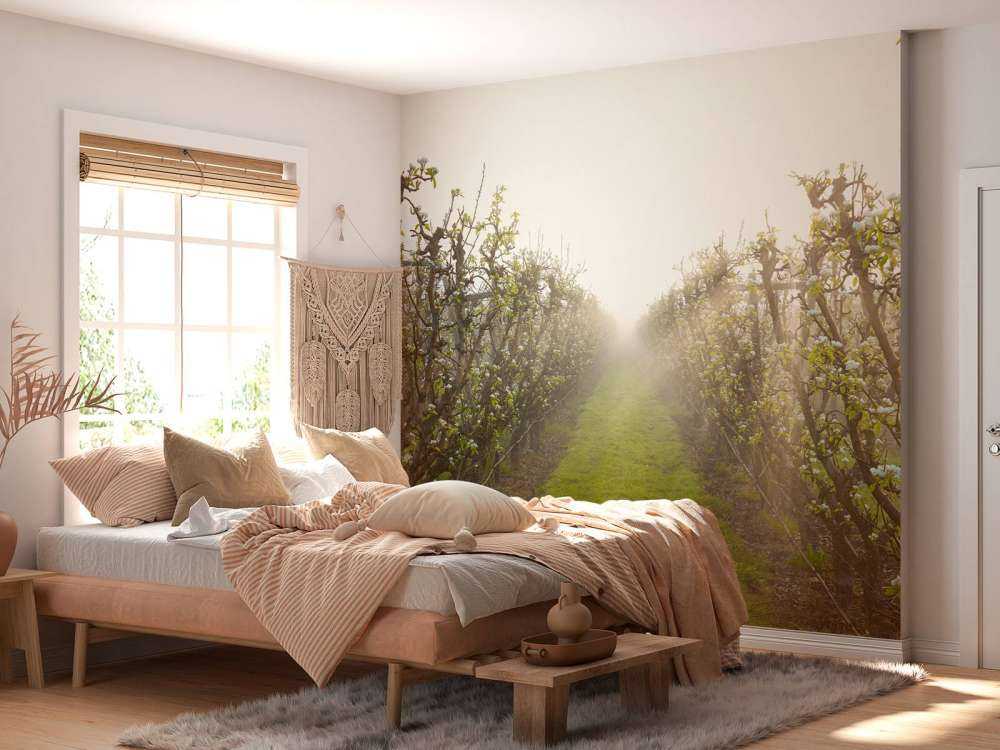 Perenbloesem in mist