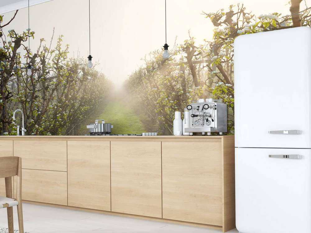 Perenbloesem in mist