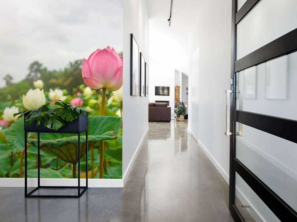 Roze en witte lotusbloemen