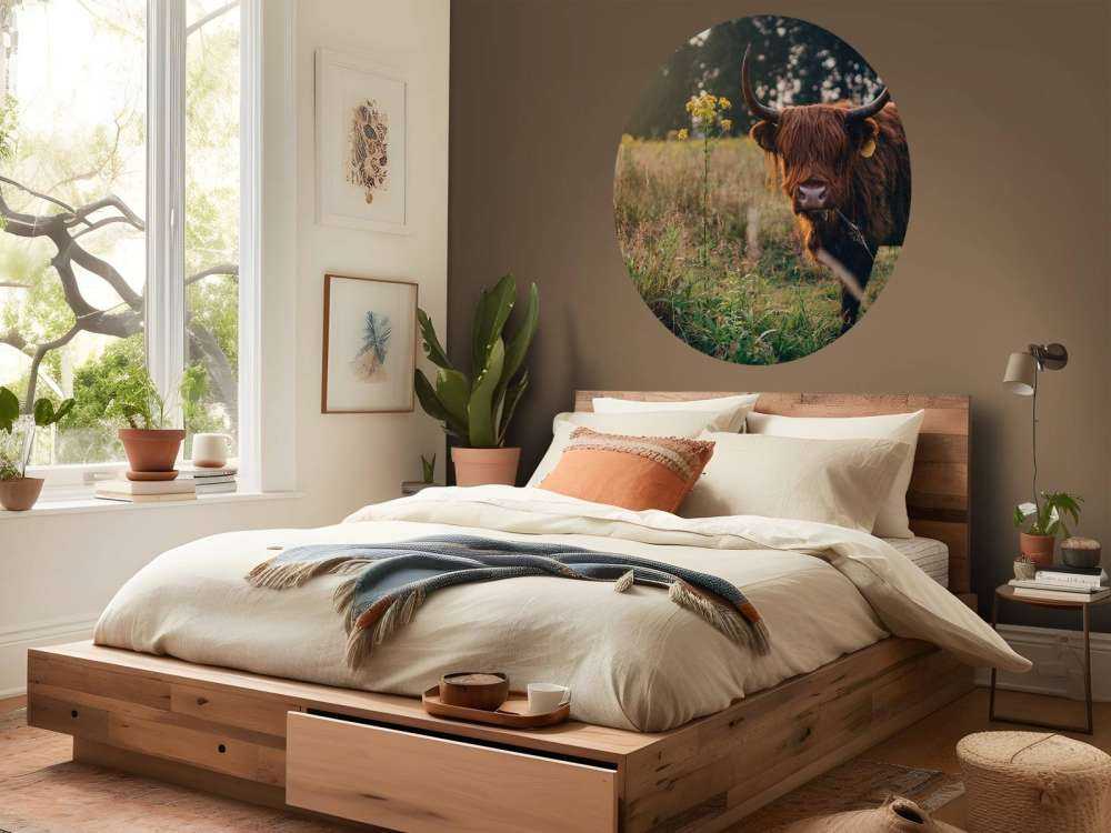 Schotse hooglander in het hoge gras