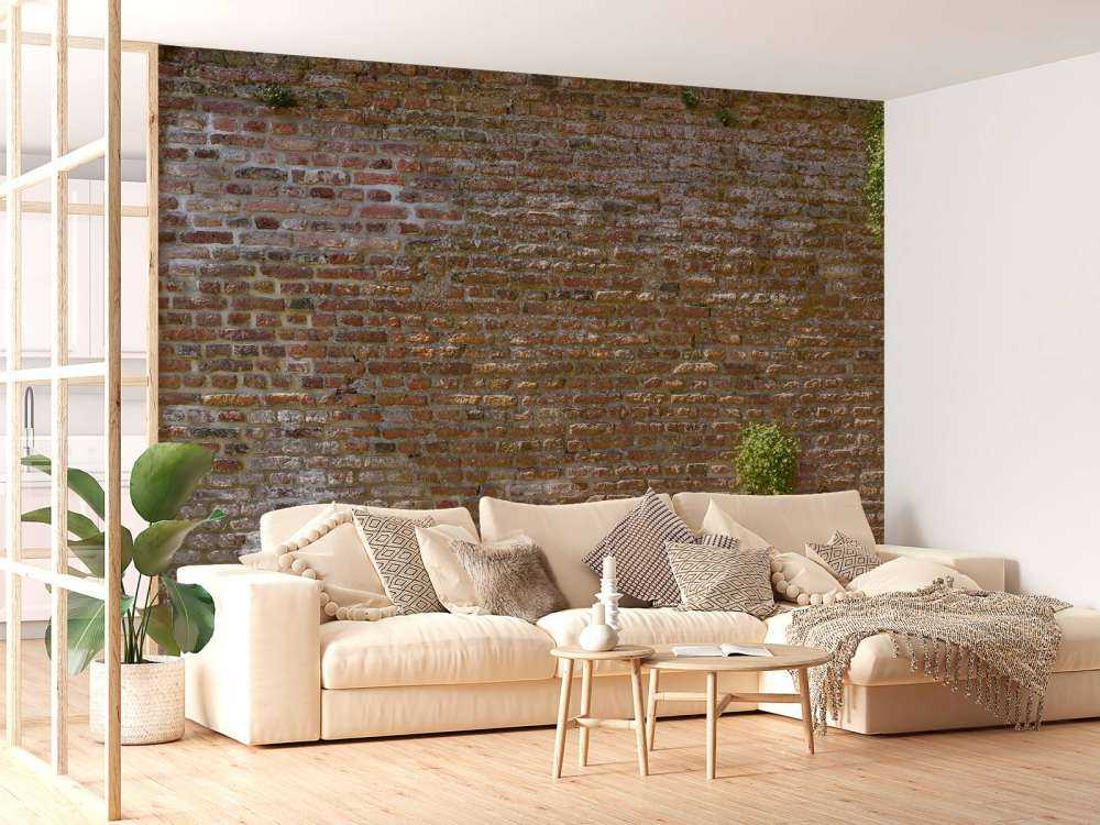 Oude stenen stadsmuur met plantjes