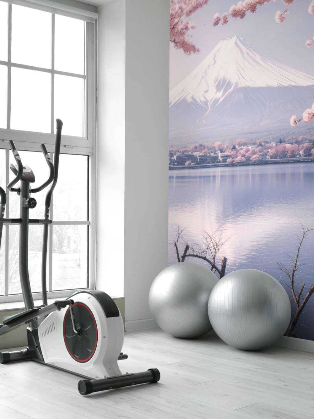 Mt.Fuji in the cherry blossoms