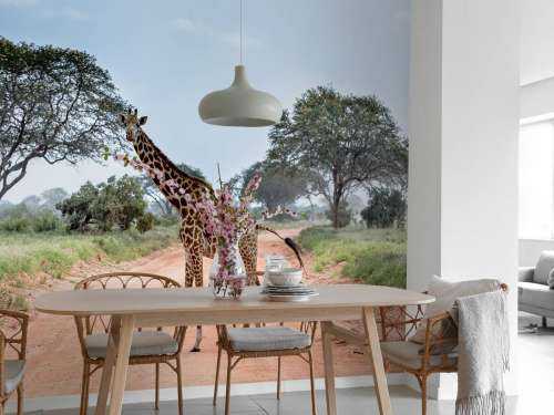 Verbaasde giraffe