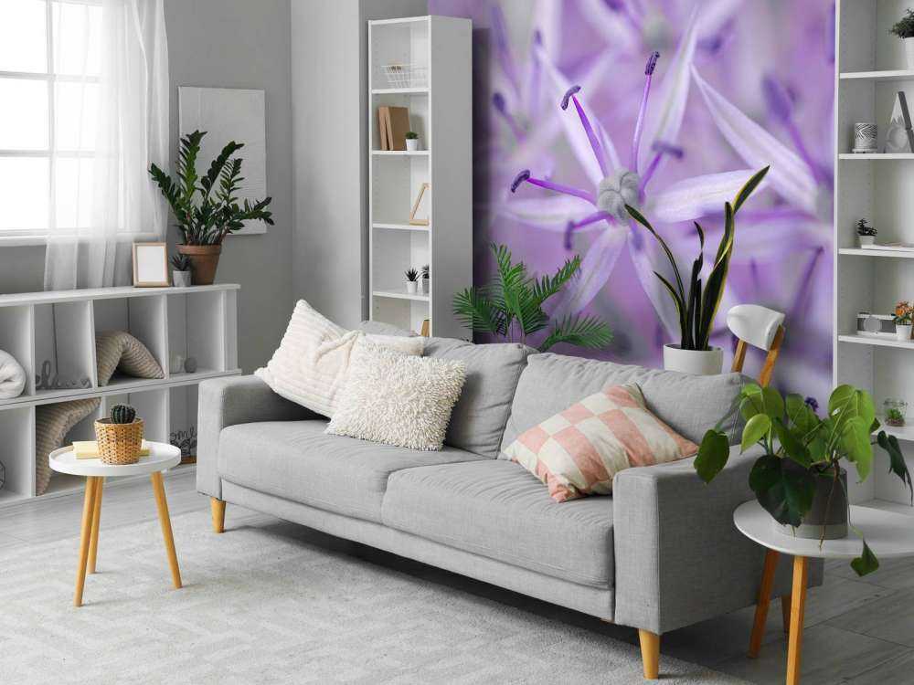 Paarse allium bloemen