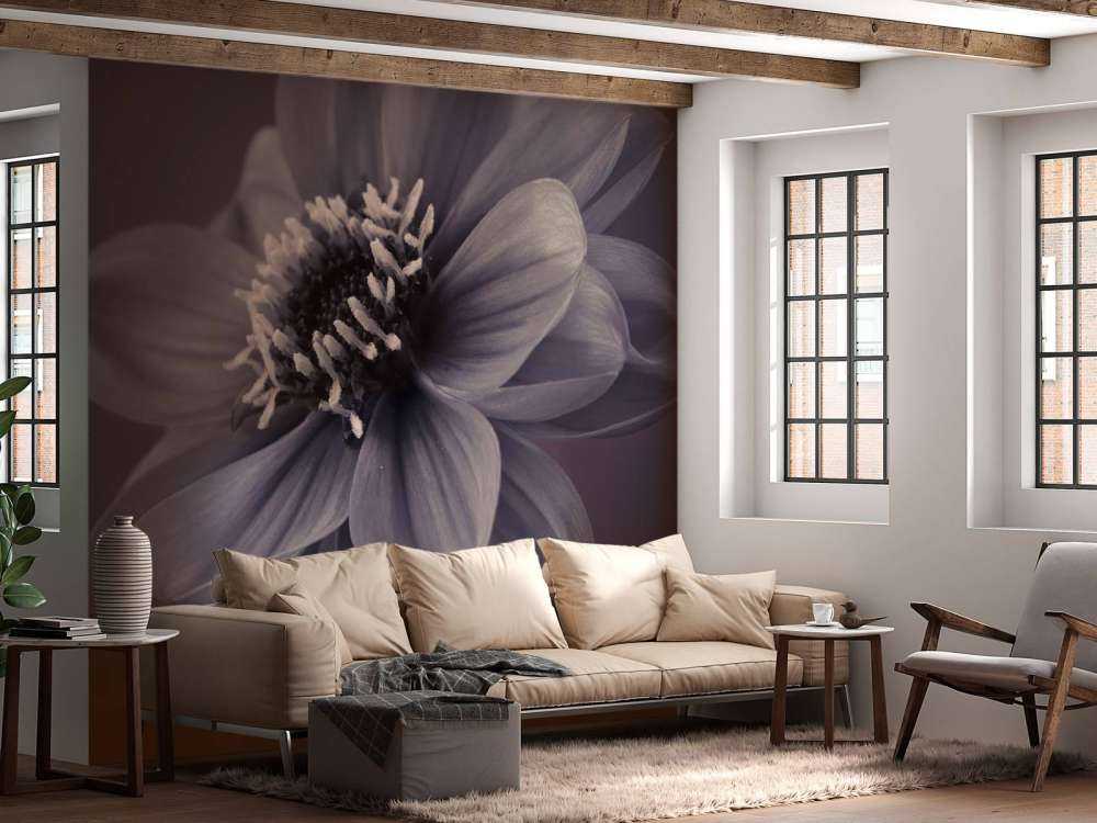 Donkere dahlia bloem