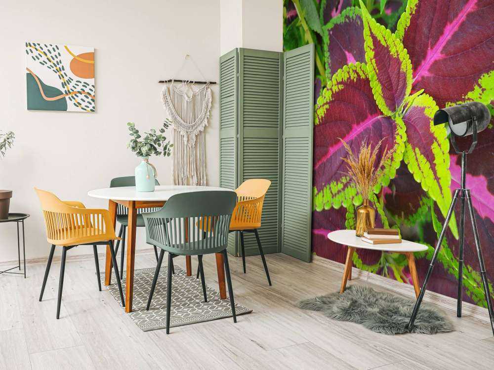 Close-up gekleurde plant