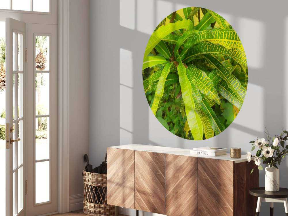 Geel-groene plant