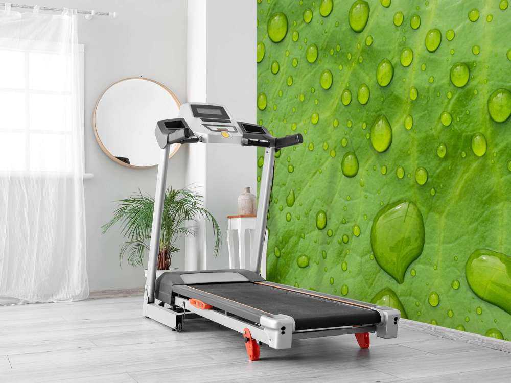 Blad met waterdruppels