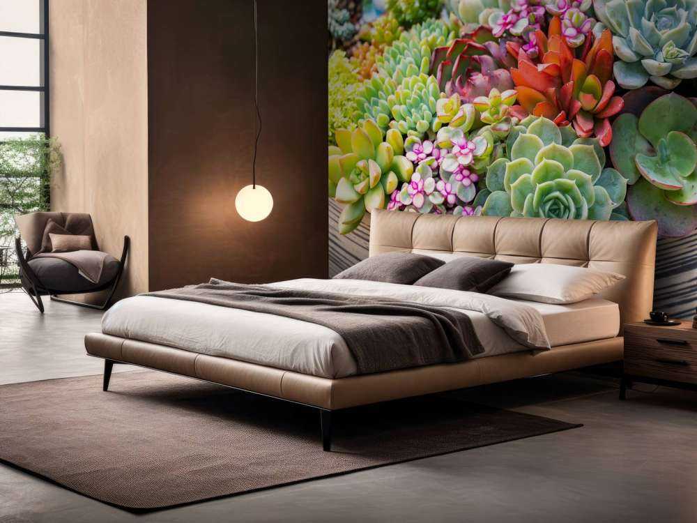 Verschillende vetplanten