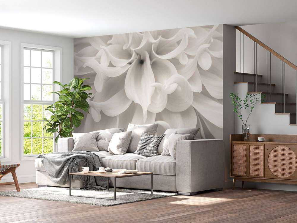 Close-up van Dahlia bloem