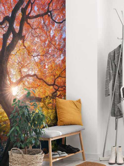 The Japanese Tree