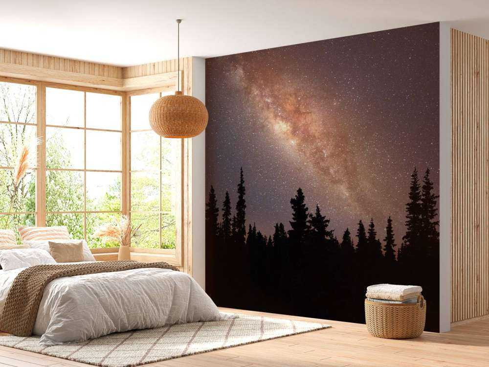 Melkweg boven silhouet van bomen