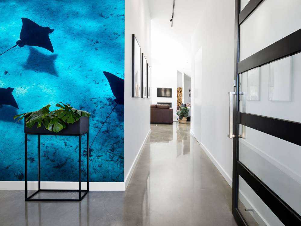 Mantaroggen zwevend door diepblauw rif