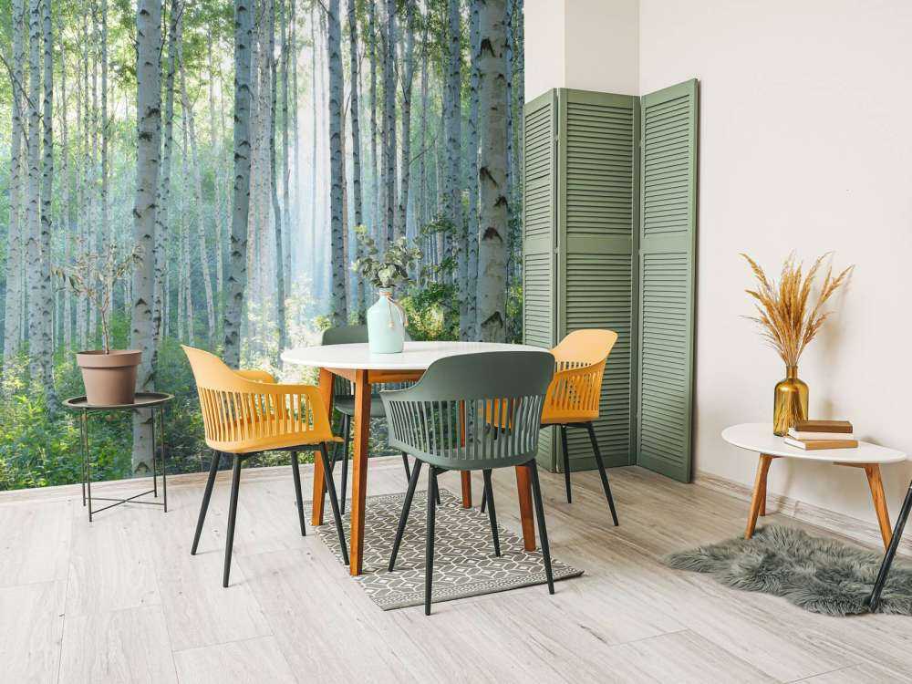 Berkenbos in ochtendlicht