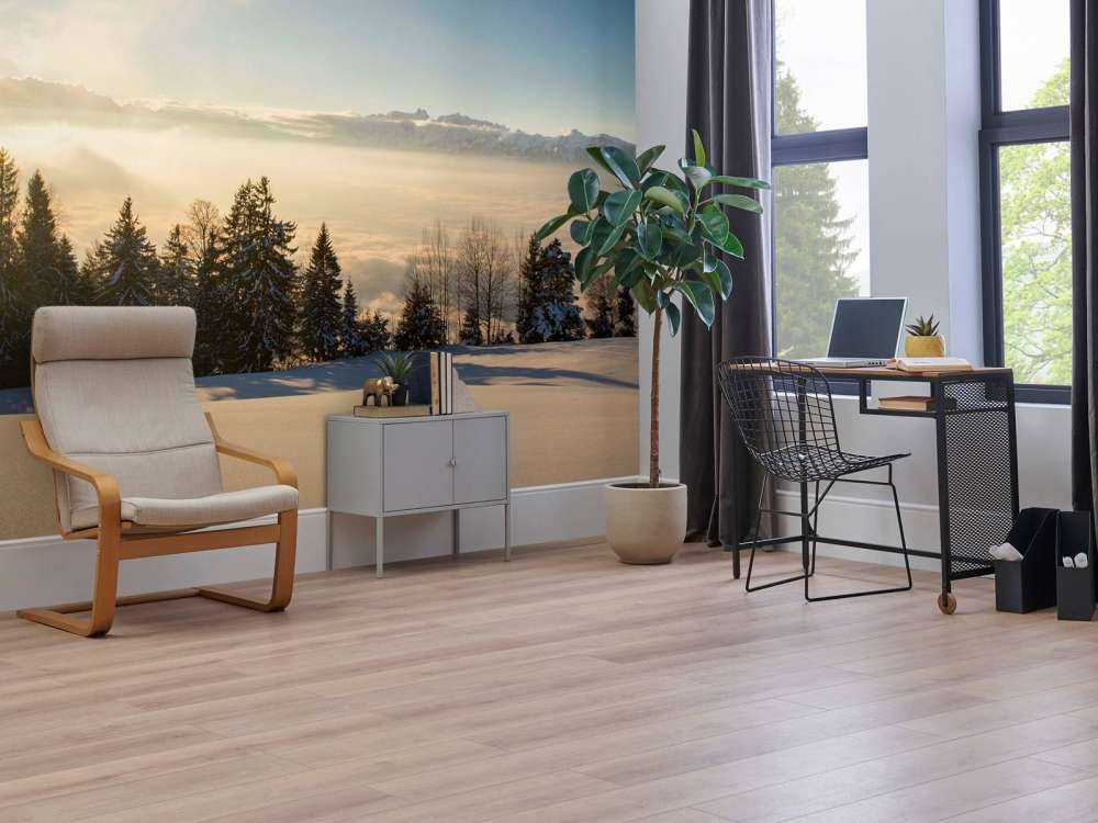 Zonsopkomst boven besneeuwd dennenbos