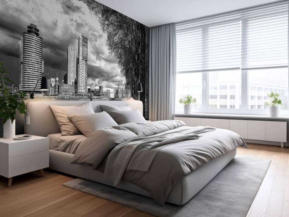 Zwart-Wit Skyline vanaf de Kade