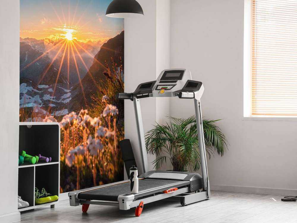 Zonlicht over alpenweide