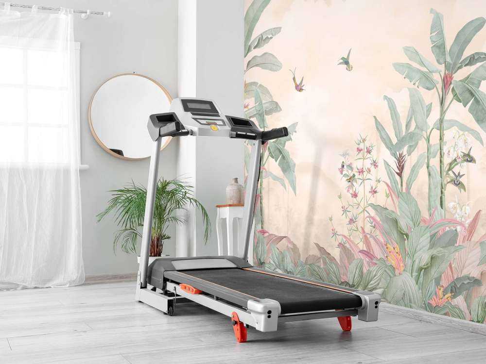 Kolibries onder zachte wolkenlucht