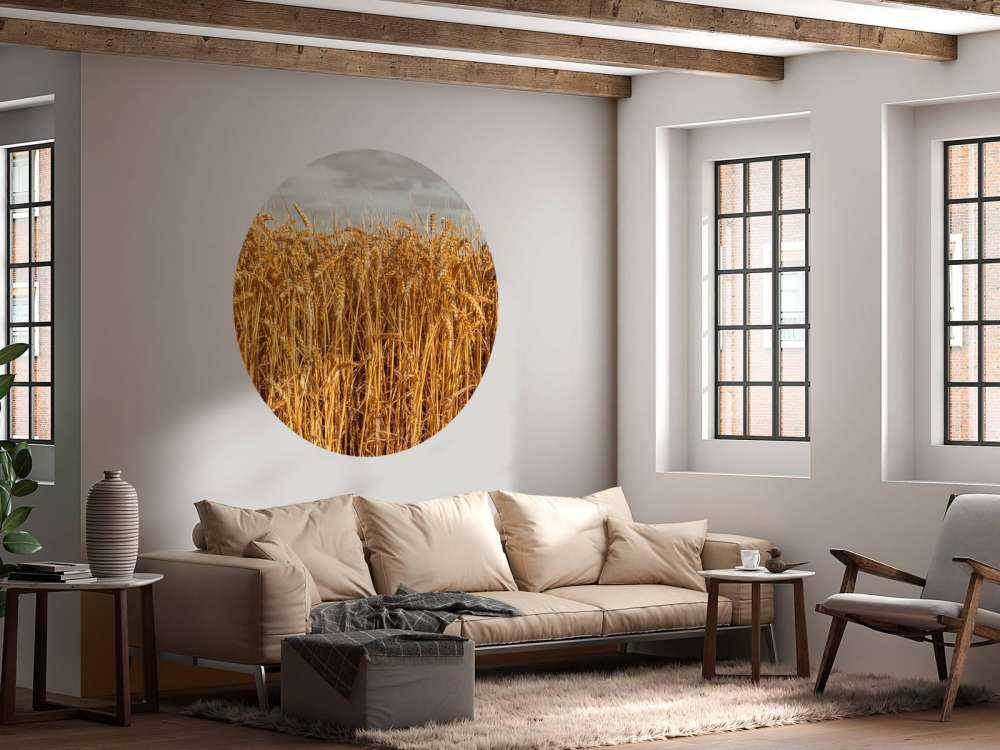 Golden wheat under brooding skies