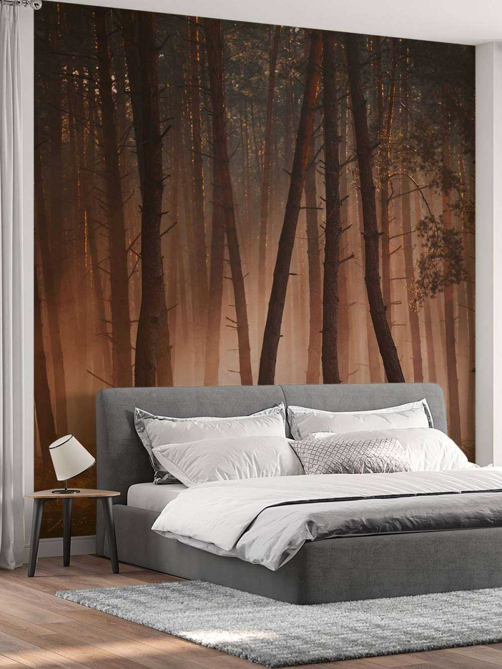 Lichtstralen door het Woud