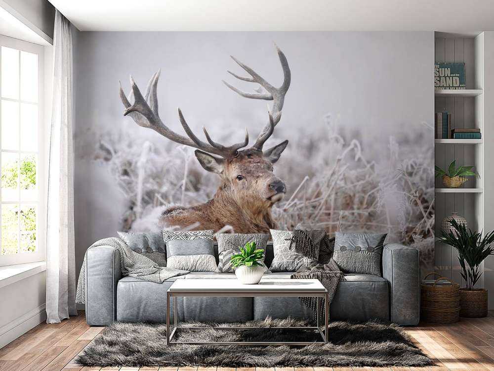 Edelhert's Winterdroom
